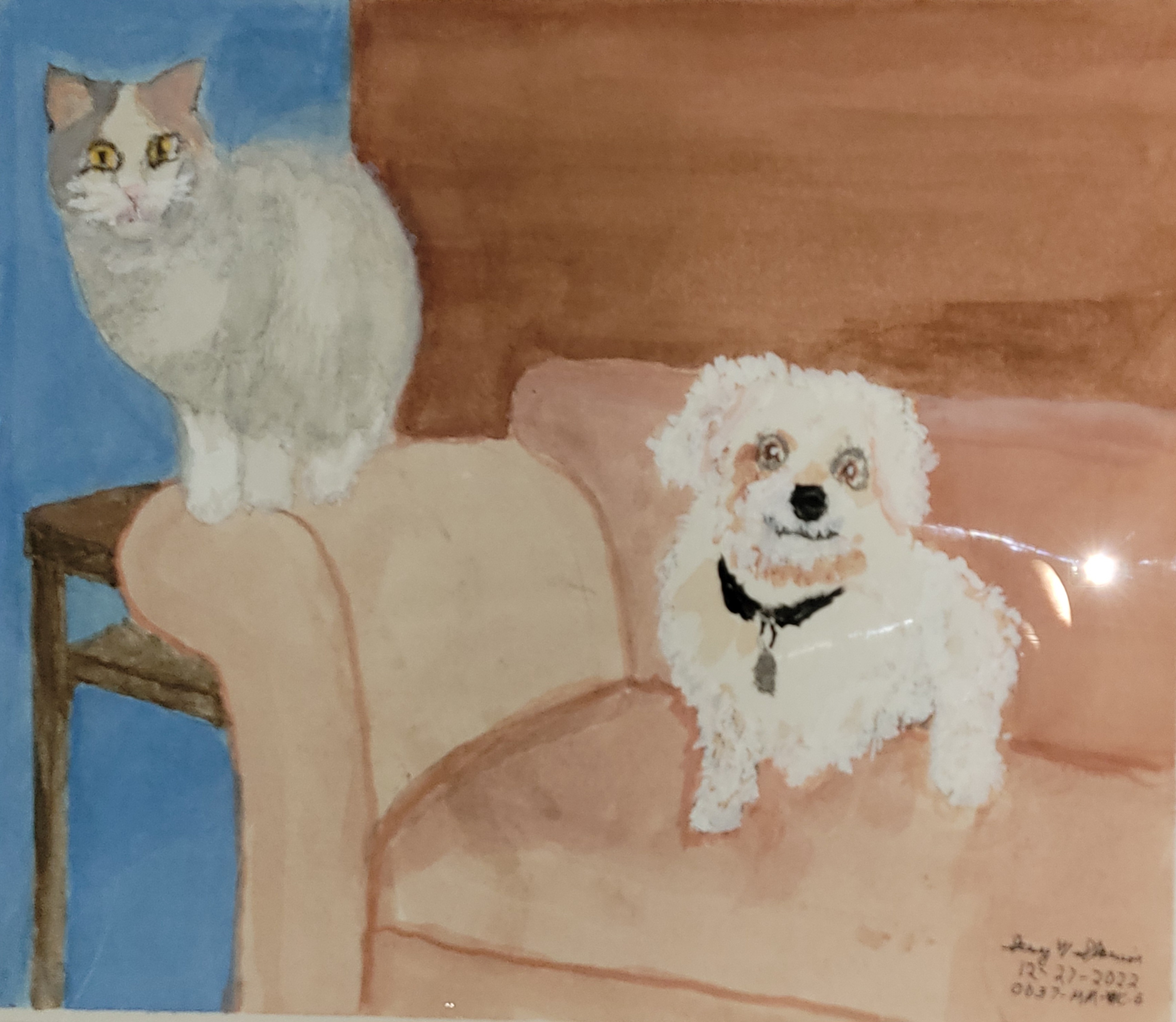 20221227-Two-Pets