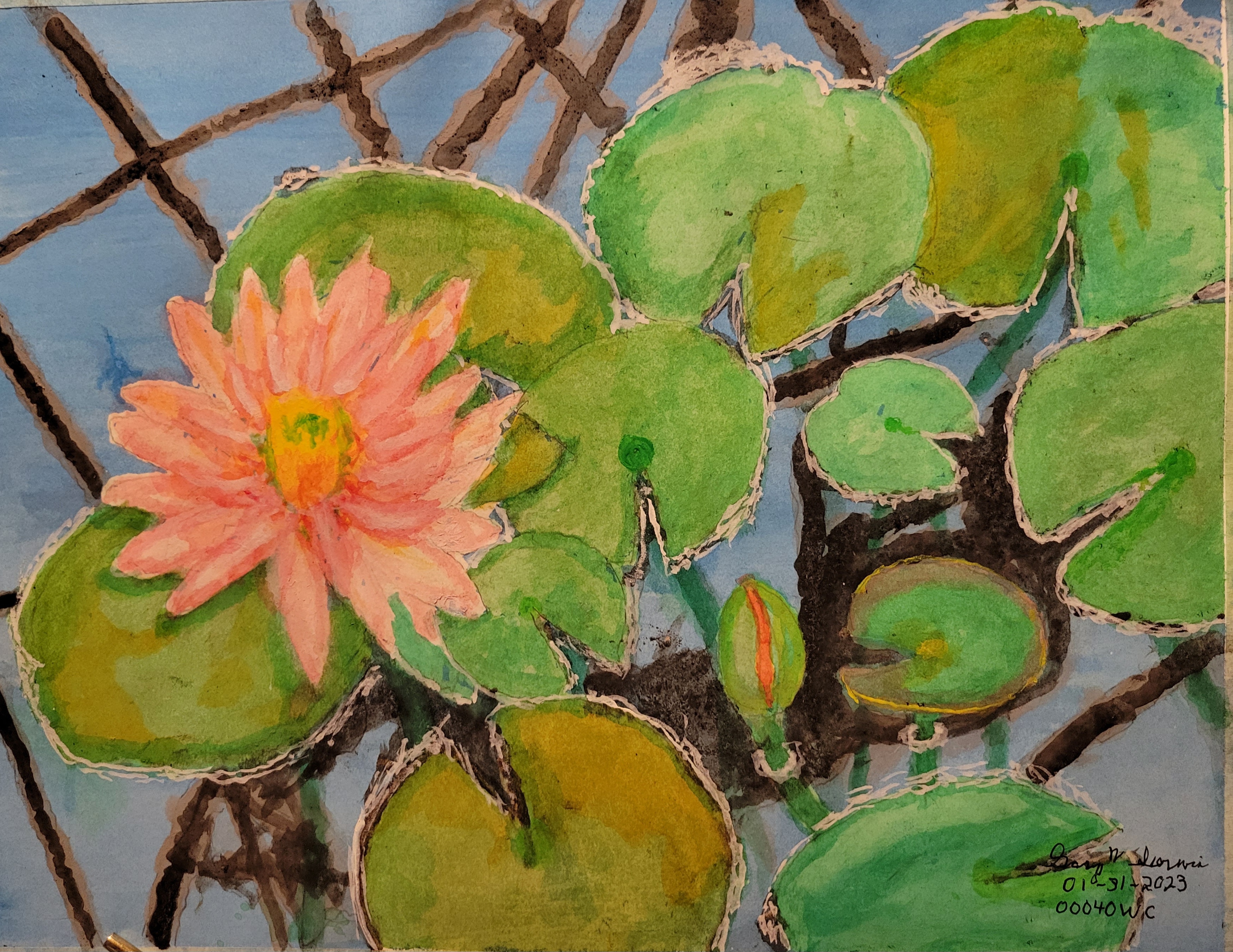 20230131-Conservatory-Waterlily