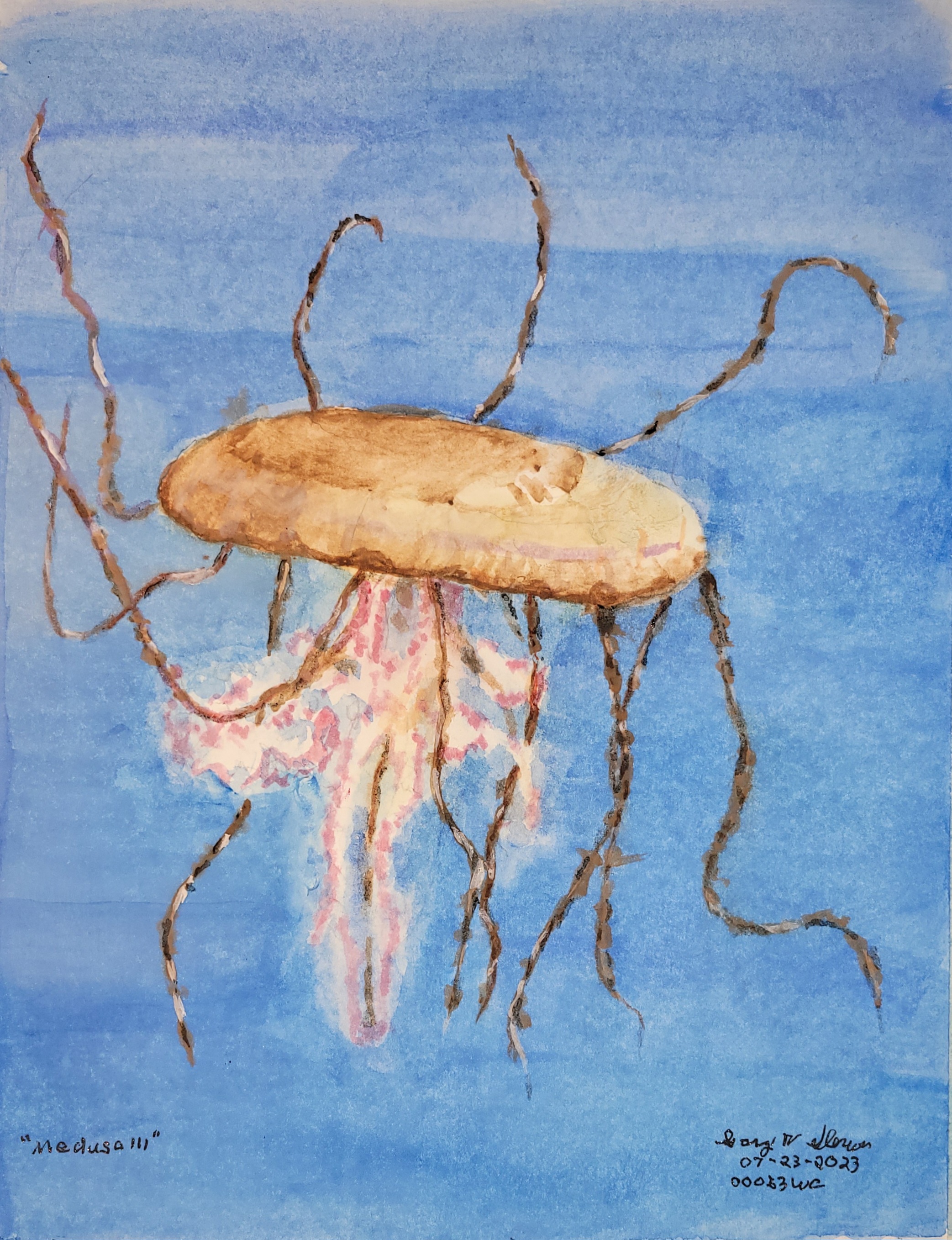 20230723-Medusa-III