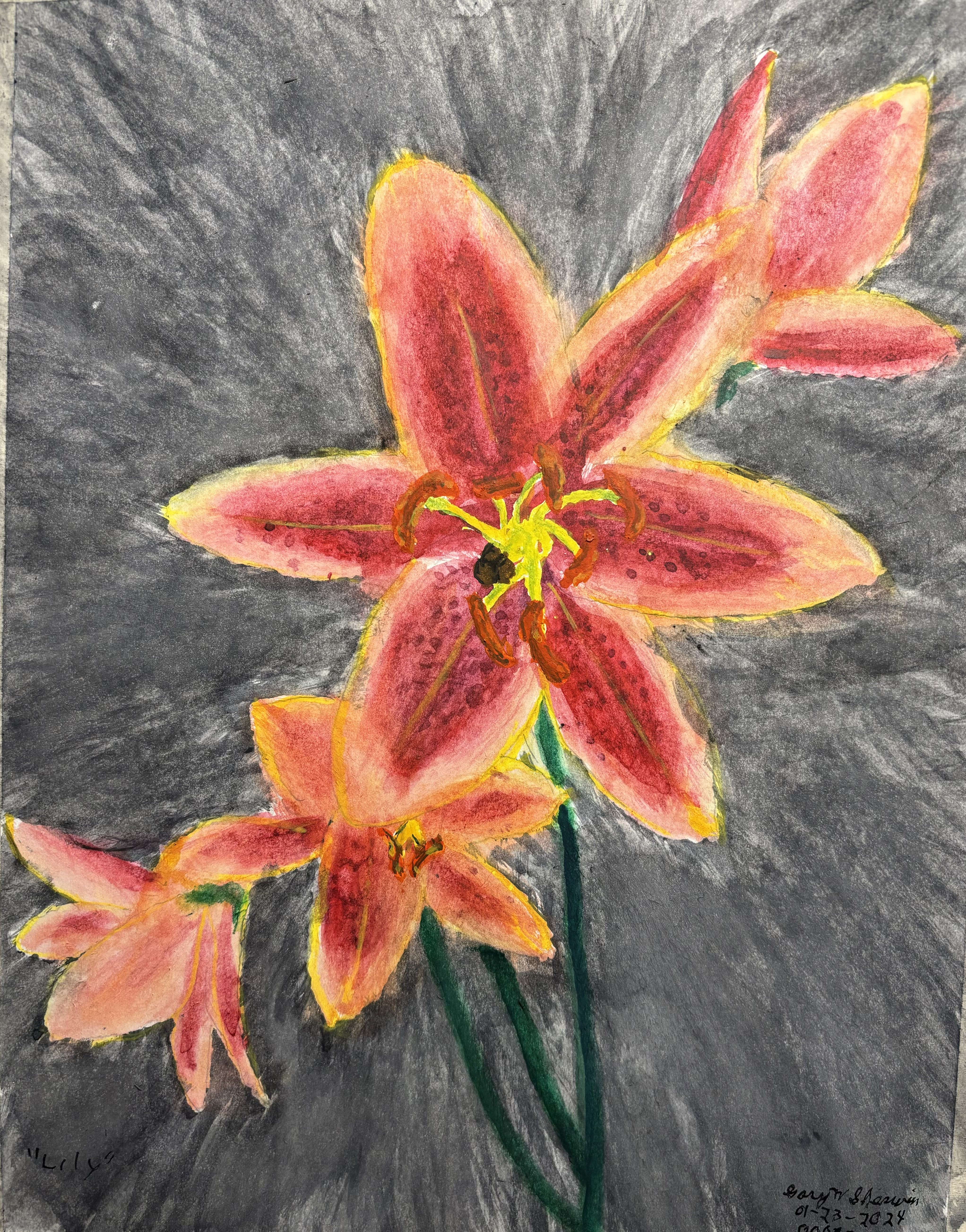 20240123-Lily