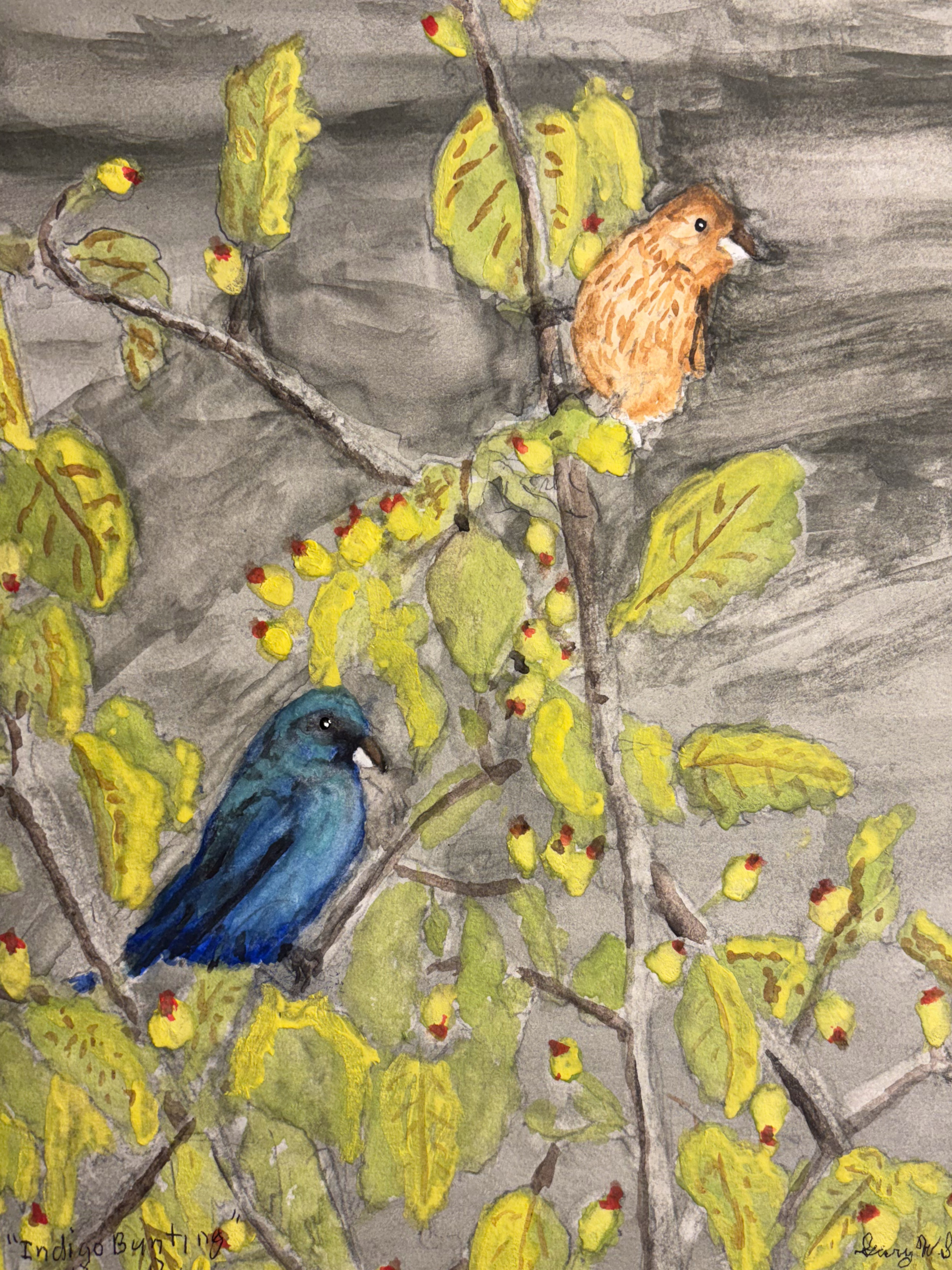 20250124-Indigo-Bunting-Pair