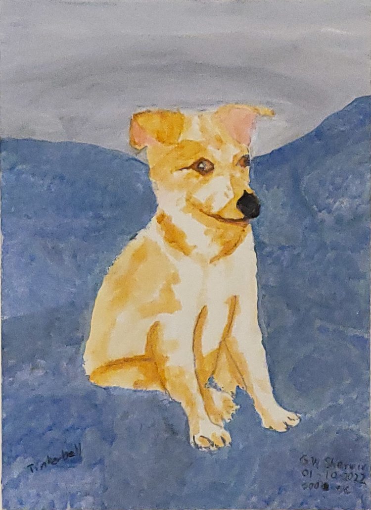 20220110-Tinkerbell