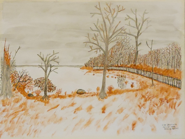 20220218-Winter-at-Swan-Point