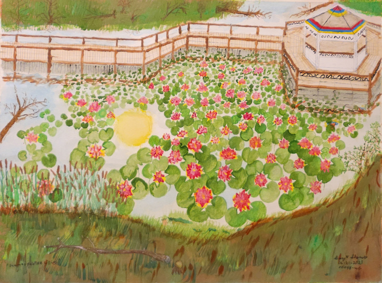 20230621-Summner-Solstiice-Lillies