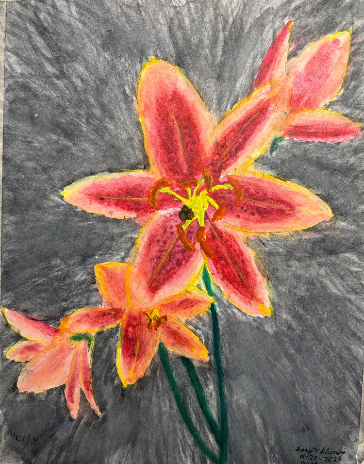 20240123-Lily