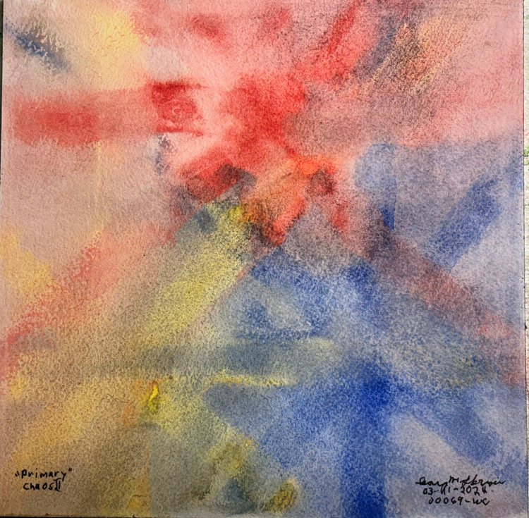 20240311-Primary-Chaos-2