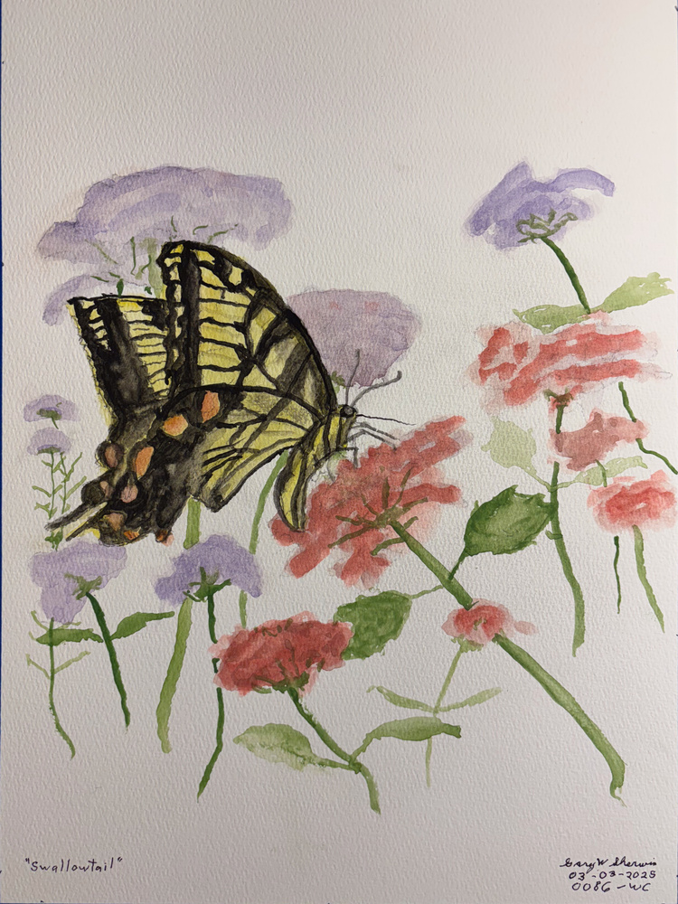 20250303-Swallowtail