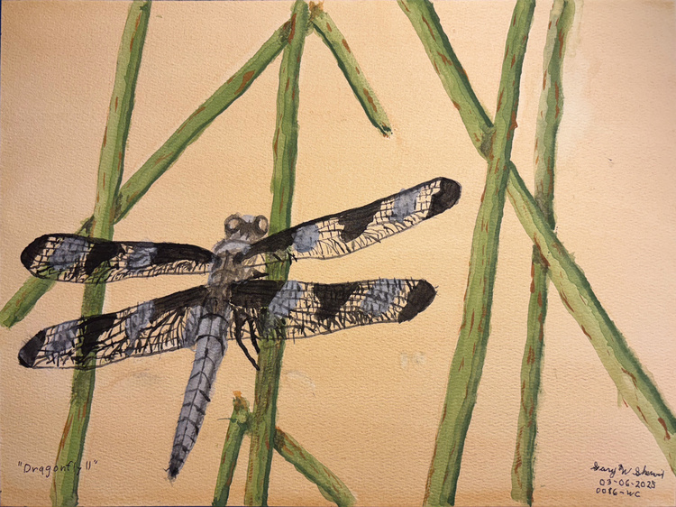 20250306-Dragonfly-II