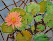 20230131-Conservatory-Waterlily