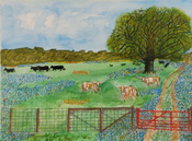 20230323-Texas-Spring
