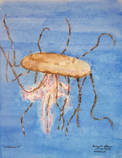 20230723-Medusa-III
